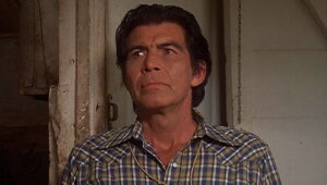 The Incredible Hulk: 2×4